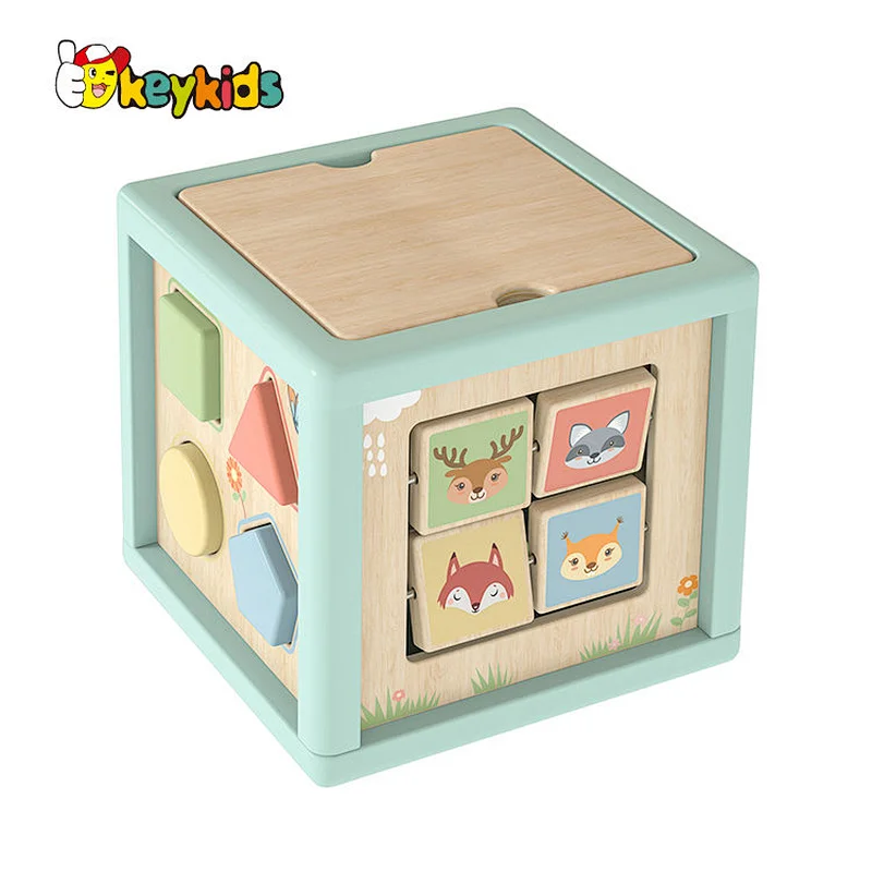 5 in 1 Shape Sorter Bead Maze Montessori Toys Wooden Activity Cube for Toddlers W11B313